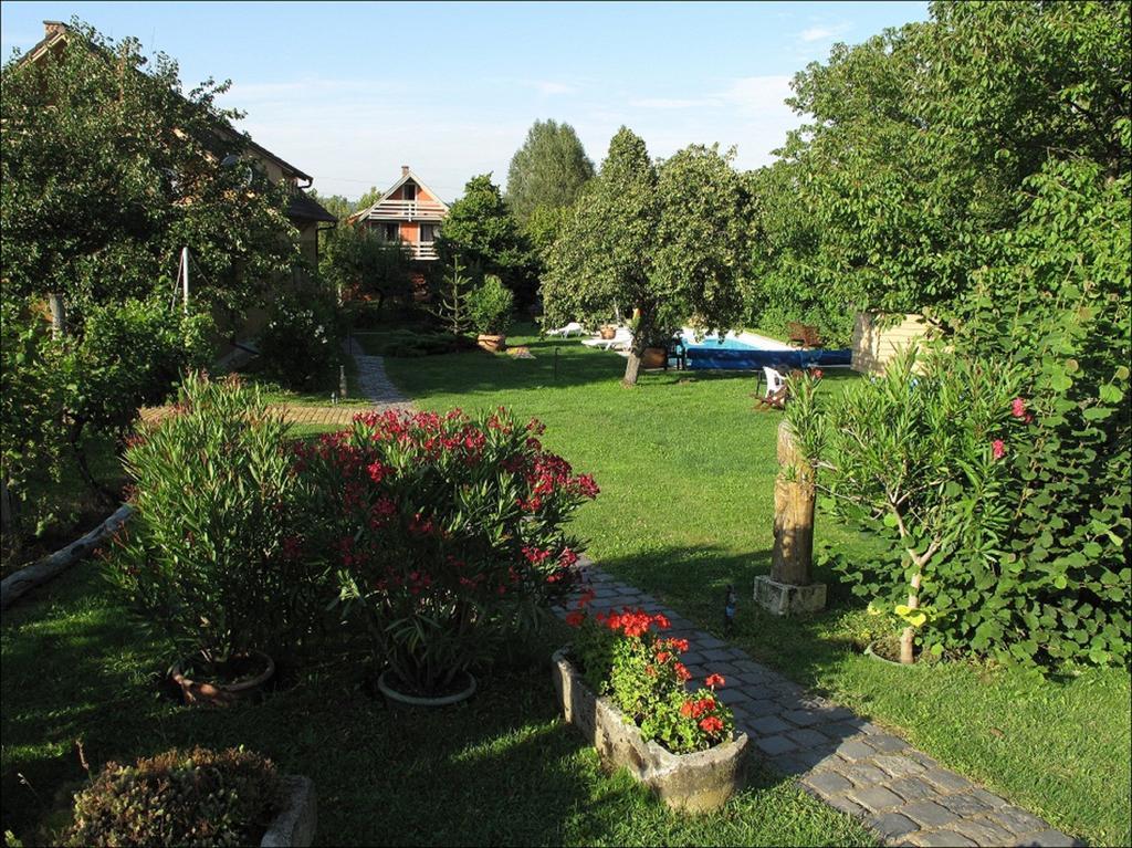Herold Panzio Dunabogdány Exteriér fotografie
